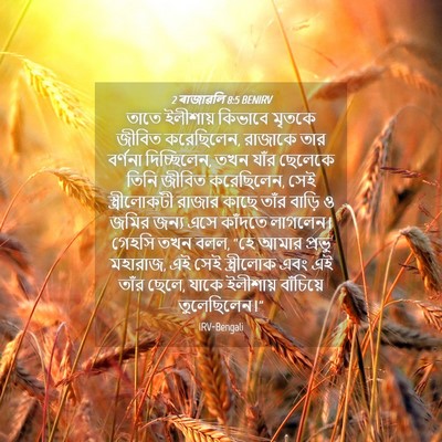 Picture 04 - 2 ৰাজাৱলি 8:5 BENIRV - তাতে ইলীশায় - Bible Verse Picture