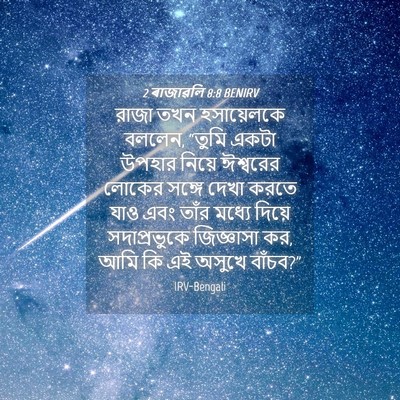 Picture 04 - 2 ৰাজাৱলি 8:8 BENIRV - রাজা তখন - Bible Verse Picture