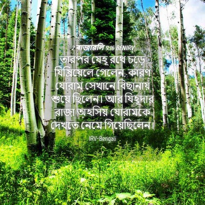 Picture 04 - 2 ৰাজাৱলি 9:16 BENIRV - তারপর যেহূ রথে - Bible Verse Picture
