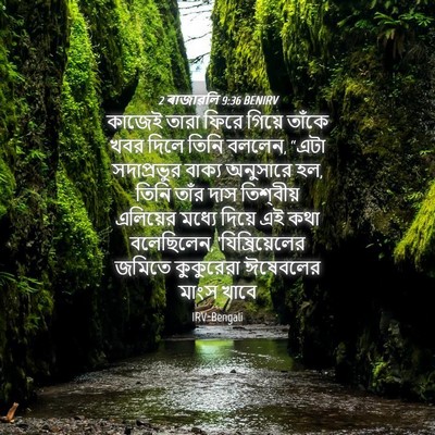 Picture 04 - 2 ৰাজাৱলি 9:36 BENIRV - কাজেই তারা ফিরে - Bible Verse Picture