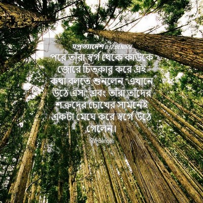 Picture 04 - पপ্রত্যাদেশ 11:12 BENIRV - পরে তাঁরা স্বর্গ - Bible Verse Picture