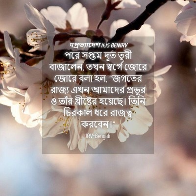 Picture 04 - पপ্রত্যাদেশ 11:15 BENIRV - পরে সপ্তম দূত তূরী - Bible Verse Picture