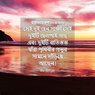 Picture 04 - पপ্রত্যাদেশ 11:4 BENIRV - সেই দুই জন সাক্ষী - Bible Verse Picture