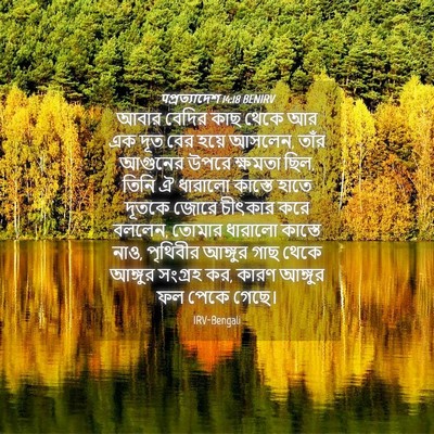 Picture 04 - पপ্রত্যাদেশ 14:18 BENIRV - আবার বেদির কাছ - Bible Verse Picture