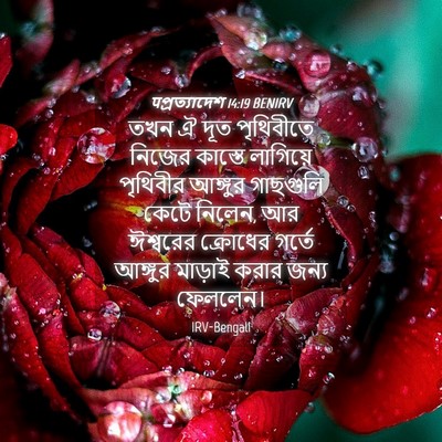 Picture 04 - पপ্রত্যাদেশ 14:19 BENIRV - তখন ঐ দূত পৃথিবীতে - Bible Verse Picture