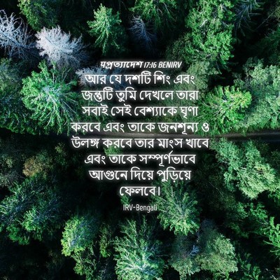 Picture 04 - पপ্রত্যাদেশ 17:16 BENIRV - আর যে দশটি শিং এবং - Bible Verse Picture
