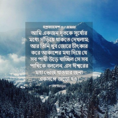 Picture 04 - पপ্রত্যাদেশ 19:17 BENIRV - আমি একজন দূতকে - Bible Verse Picture