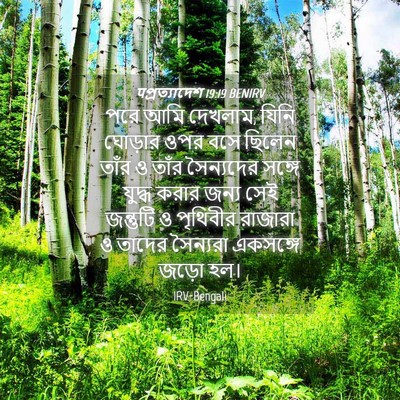 Picture 04 - पপ্রত্যাদেশ 19:19 BENIRV - পরে আমি দেখলাম, - Bible Verse Picture