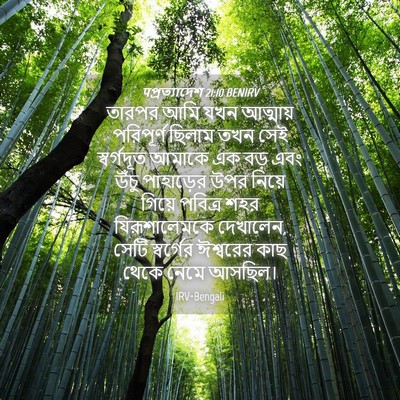 Picture 04 - पপ্রত্যাদেশ 21:10 BENIRV - তারপর আমি যখন - Bible Verse Picture