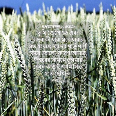 Picture 04 - पপ্রত্যাদেশ 3:2 BENIRV - তুমি জেগে ওঠ এবং - Bible Verse Picture