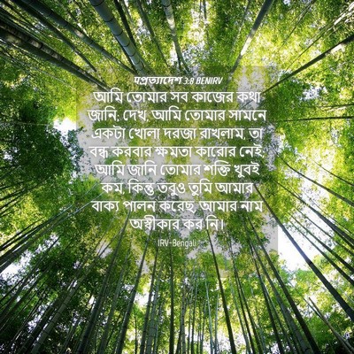 Picture 04 - पপ্রত্যাদেশ 3:8 BENIRV - আমি তোমার সব কাজের - Bible Verse Picture