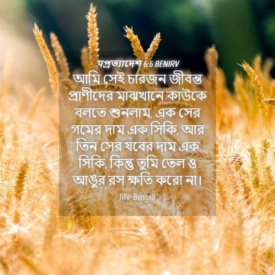 Picture 04 - पপ্রত্যাদেশ 6:6 BENIRV - আমি সেই চারজন - Bible Verse Picture
