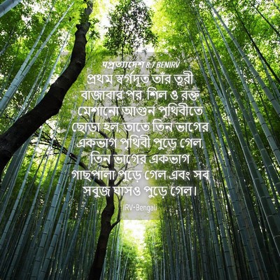 Picture 04 - पপ্রত্যাদেশ 8:7 BENIRV - প্রথম স্বর্গদূত - Bible Verse Picture