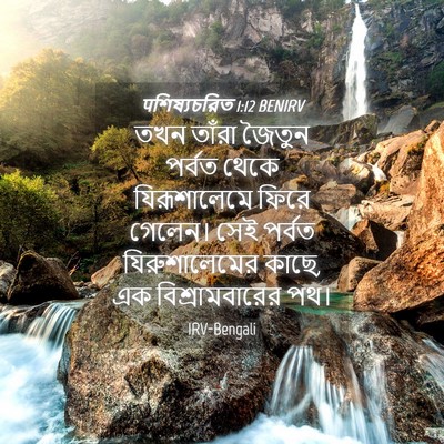 Picture 04 - पশিষ্যচরিত 1:12 BENIRV - তখন তাঁরা জৈতুন - Bible Verse Picture