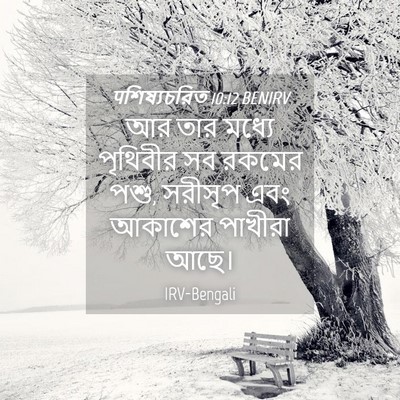 Picture 04 - पশিষ্যচরিত 10:12 BENIRV - আর তার মধ্যে - Bible Verse Picture