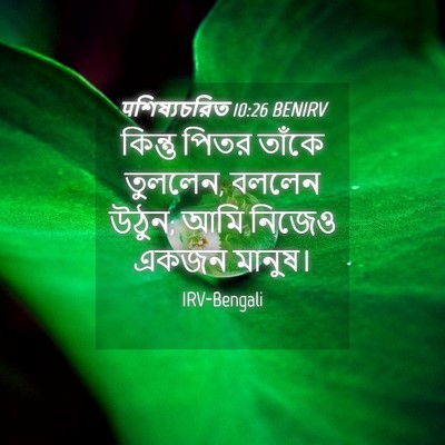 Picture 04 - पশিষ্যচরিত 10:26 BENIRV - কিন্তু পিতর তাঁকে - Bible Verse Picture