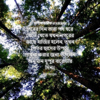 Picture 04 - पশিষ্যচরিত 10:9 BENIRV - পরের দিন তারা পথ - Bible Verse Picture