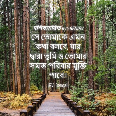 Picture 04 - पশিষ্যচরিত 11:14 BENIRV - সে তোমাকে এমন কথা - Bible Verse Picture