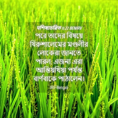 Picture 04 - पশিষ্যচরিত 11:22 BENIRV - পরে তাদের বিষয়ে - Bible Verse Picture