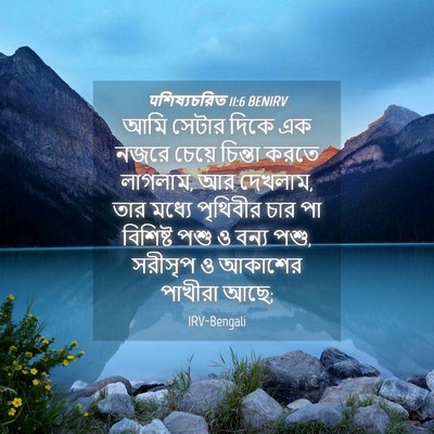 Picture 04 - पশিষ্যচরিত 11:6 BENIRV - আমি সেটার দিকে এক - Bible Verse Picture