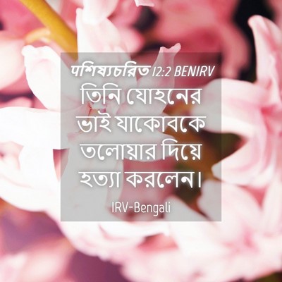 Picture 04 - पশিষ্যচরিত 12:2 BENIRV - তিনি যোহনের ভাই - Bible Verse Picture