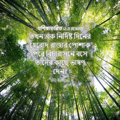 Picture 04 - पশিষ্যচরিত 12:21 BENIRV - তখন এক নির্দিষ্ট - Bible Verse Picture