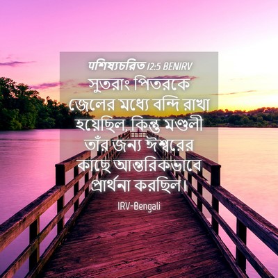Picture 04 - पশিষ্যচরিত 12:5 BENIRV - সুতরাং পিতরকে - Bible Verse Picture