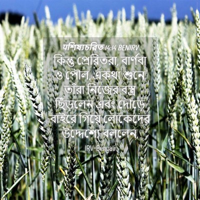 Picture 04 - पশিষ্যচরিত 14:14 BENIRV - কিন্তু প্রেরিতরা, - Bible Verse Picture