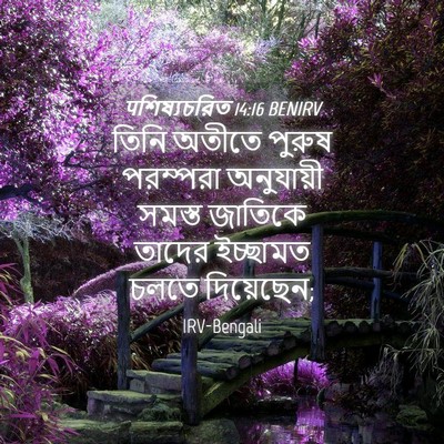 Picture 04 - पশিষ্যচরিত 14:16 BENIRV - তিনি অতীতে পুরুষ - Bible Verse Picture