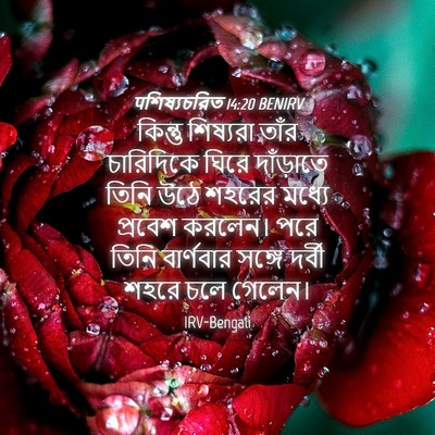 Picture 04 - पশিষ্যচরিত 14:20 BENIRV - কিন্তু শিষ্যরা - Bible Verse Picture
