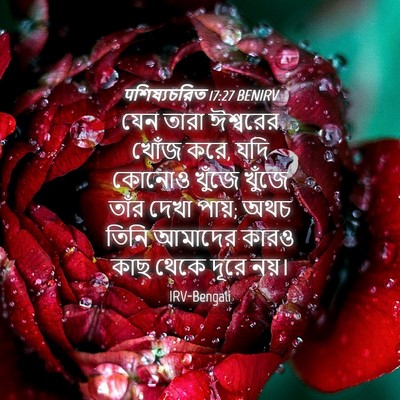Picture 04 - पশিষ্যচরিত 17:27 BENIRV - যেন তারা ঈশ্বরের - Bible Verse Picture