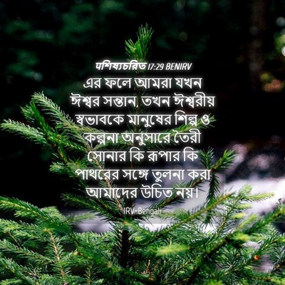 Picture 04 - पশিষ্যচরিত 17:29 BENIRV - এর ফলে আমরা যখন - Bible Verse Picture