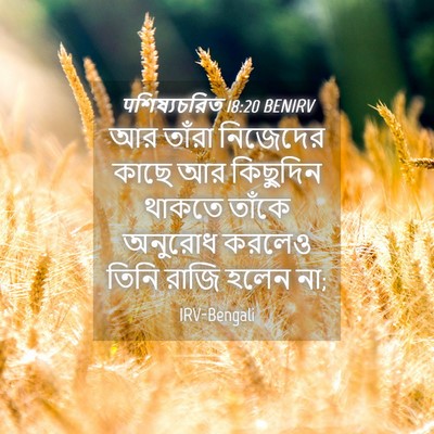Picture 04 - पশিষ্যচরিত 18:20 BENIRV - আর তাঁরা নিজেদের - Bible Verse Picture