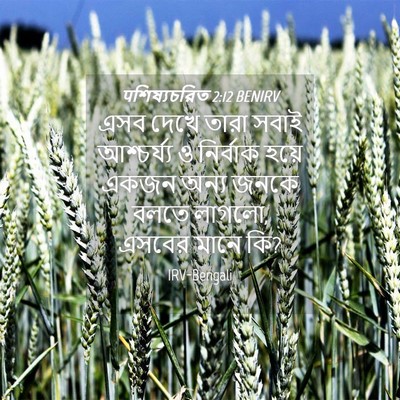 Picture 04 - पশিষ্যচরিত 2:12 BENIRV - এসব দেখে তারা সবাই - Bible Verse Picture