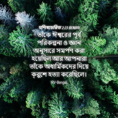 Picture 04 - पশিষ্যচরিত 2:23 BENIRV - তাঁকে ঈশ্বরের - Bible Verse Picture