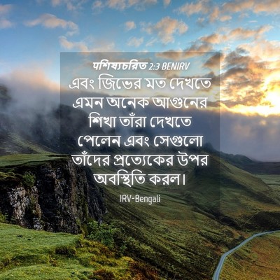 Picture 04 - पশিষ্যচরিত 2:3 BENIRV - এবং জিভের মত দেখতে - Bible Verse Picture