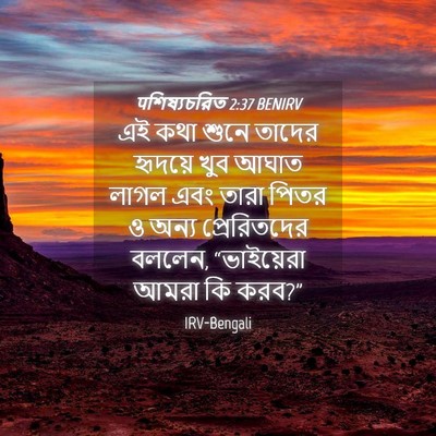 Picture 04 - पশিষ্যচরিত 2:37 BENIRV - এই কথা শুনে তাদের - Bible Verse Picture
