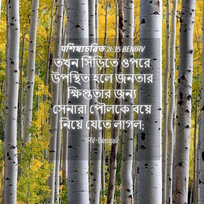 Picture 04 - पশিষ্যচরিত 21:35 BENIRV - তখন সিঁড়িতে ওপরে - Bible Verse Picture