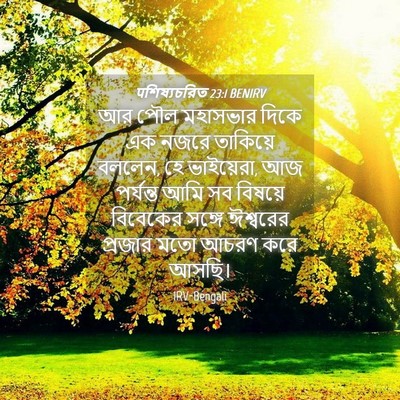 Picture 04 - पশিষ্যচরিত 23:1 BENIRV - আর পৌল মহাসভার - Bible Verse Picture