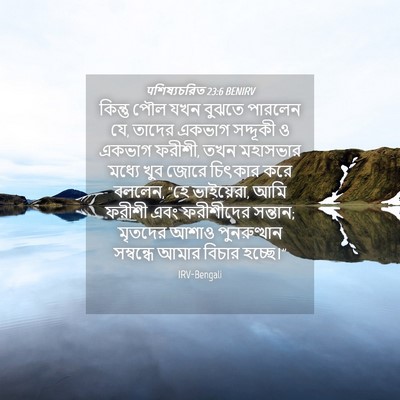 Picture 04 - पশিষ্যচরিত 23:6 BENIRV - কিন্তু পৌল যখন - Bible Verse Picture
