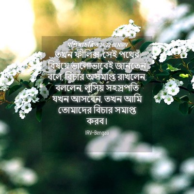 Picture 04 - पশিষ্যচরিত 24:22 BENIRV - তখন ফীলিক্স, সেই - Bible Verse Picture