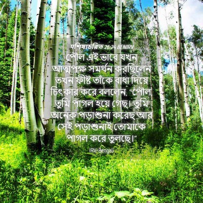 Picture 04 - पশিষ্যচরিত 26:24 BENIRV - পৌল এই ভাবে যখন - Bible Verse Picture