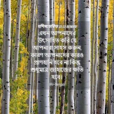 Picture 04 - पশিষ্যচরিত 27:22 BENIRV - এখন আপনাদের - Bible Verse Picture