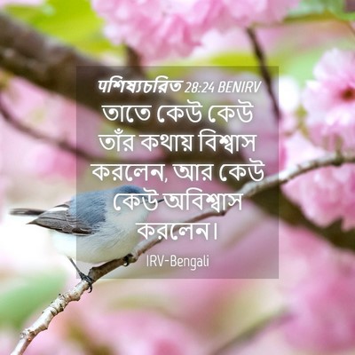 Picture 04 - पশিষ্যচরিত 28:24 BENIRV - তাতে কেউ কেউ তাঁর - Bible Verse Picture