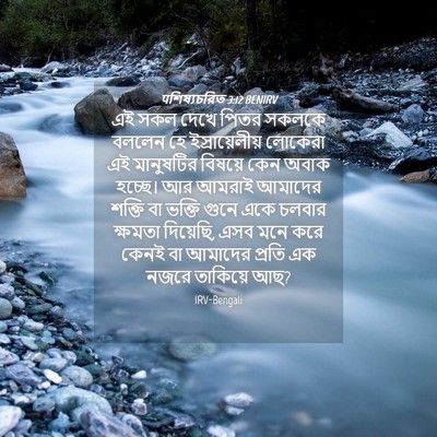 Picture 04 - पশিষ্যচরিত 3:12 BENIRV - এই সকল দেখে পিতর - Bible Verse Picture