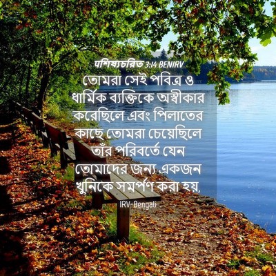 Picture 04 - पশিষ্যচরিত 3:14 BENIRV - তোমরা সেই পবিত্র ও - Bible Verse Picture