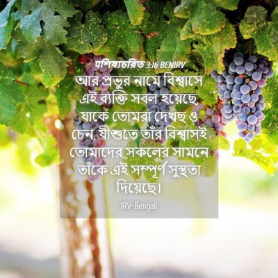 Picture 04 - पশিষ্যচরিত 3:16 BENIRV - আর প্রভুর নামে - Bible Verse Picture