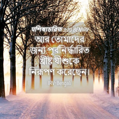 Picture 04 - पশিষ্যচরিত 3:20 BENIRV - আর তোমাদের জন্য - Bible Verse Picture