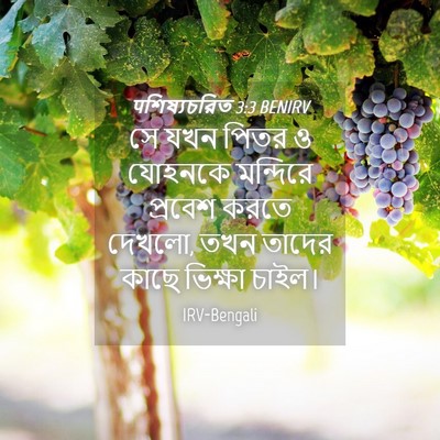 Picture 04 - पশিষ্যচরিত 3:3 BENIRV - সে যখন পিতর ও - Bible Verse Picture