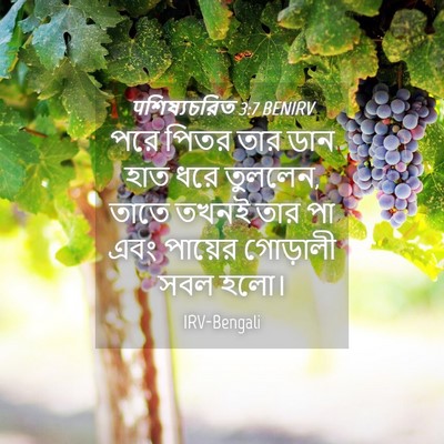 Picture 04 - पশিষ্যচরিত 3:7 BENIRV - পরে পিতর তার ডান - Bible Verse Picture